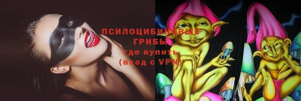 стаф Нефтекумск