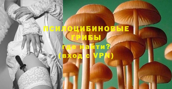 стаф Нефтекумск